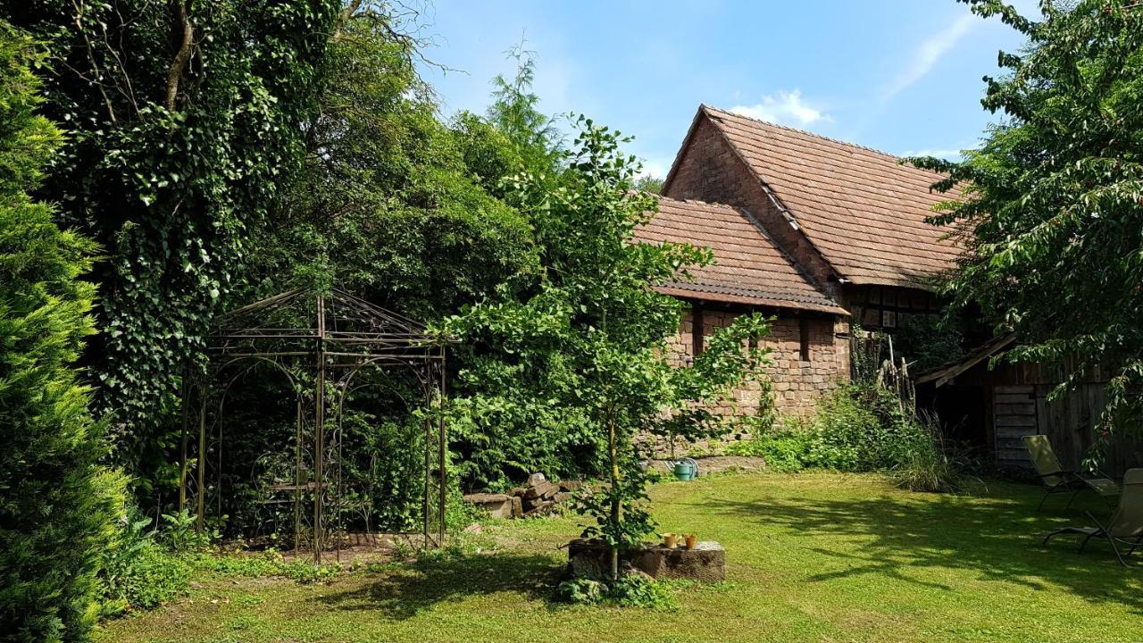 Gite Au Petit Ruisseau-Etage Et Combles-Maison Alsacienne 4 Personnes 4 Nuitees Minimum Langensoultzbach Eksteriør billede