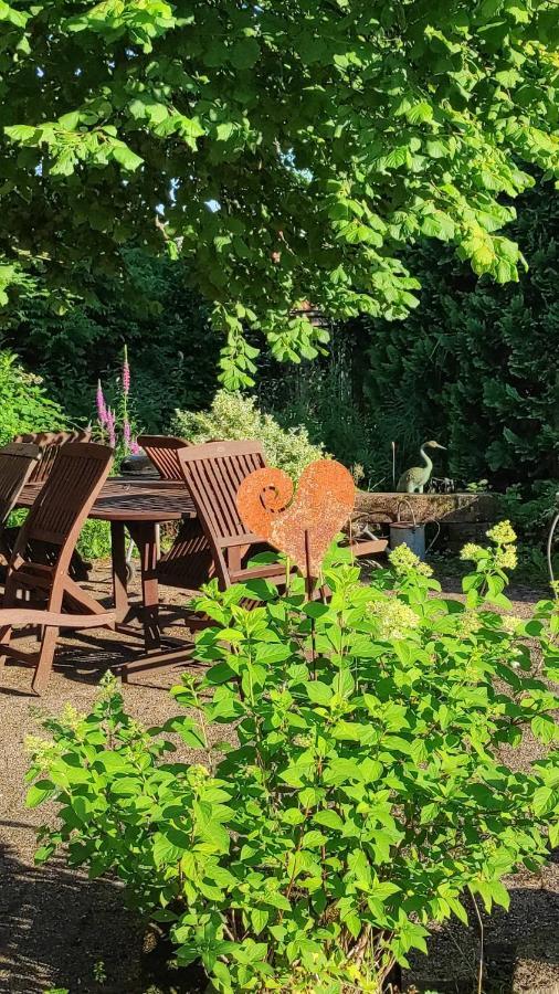 Gite Au Petit Ruisseau-Etage Et Combles-Maison Alsacienne 4 Personnes 4 Nuitees Minimum Langensoultzbach Eksteriør billede